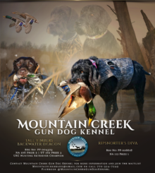 Mountain Creek Gun Dog Kennel