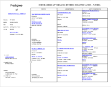 Rebel Point’s All American- Offered For Stud- UT 200 II
