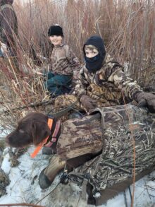 Brush Cruiser Gundogs