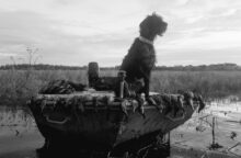 Loess Hills Pudelpointers