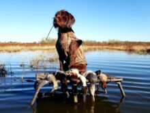 Loess Hills Pudelpointers