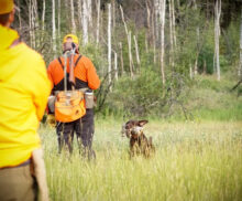 Canadian Gun Dogs- Puppies Available!!