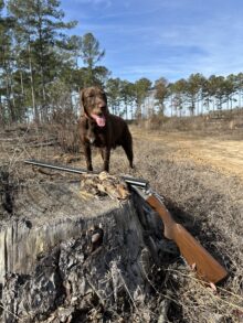 VC Falling Feather’s Coldest Outlaw “Tucker” – Offered for Stud – UT 204 I Invitational Pass VC Falling Feather’s Coldest Outlaw “Tucker” – Offered for Stud – UT 204 I Invitational Pass