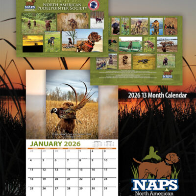 2026 Pudelpointer Calendar