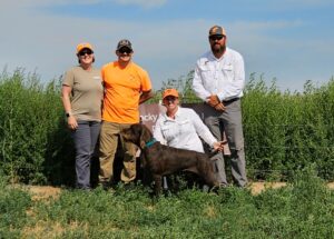 Lone Pine’s In the Blind – Offered for Stud – UT 193 Prize 1