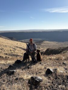 High Road Pudelpointers