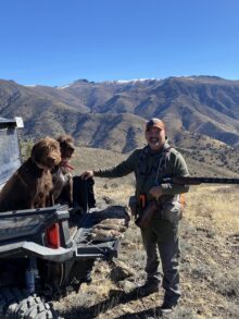 High Road Pudelpointers